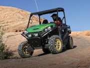 A New Gator Has Evolved