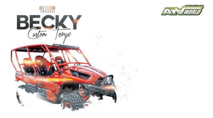 Becky : From Stock to Shock