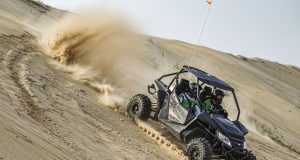 Get Wild With The Cat at DuneFest…Demo Rides, Prizes and More