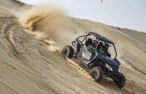 Get Wild With The Cat at DuneFest…Demo Rides, Prizes and More