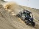 Get Wild With The Cat at DuneFest…Demo Rides, Prizes and More