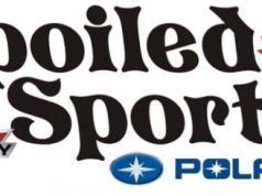 FRESH CONCEPT FOR SNOW CHECK SALES