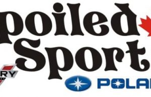 FRESH CONCEPT FOR SNOW CHECK SALES