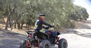 ABSOLUTE MAYHEM BEHIND BARS