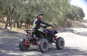 ABSOLUTE MAYHEM BEHIND BARS