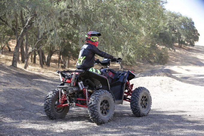 ABSOLUTE MAYHEM BEHIND BARS