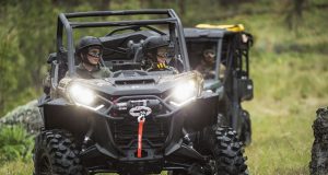 All The News That’s New