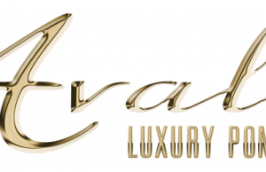 AVALON Luxury PONTOON BOATS Reserve Corporate Display at THE BOAT SHOW At The International Centre